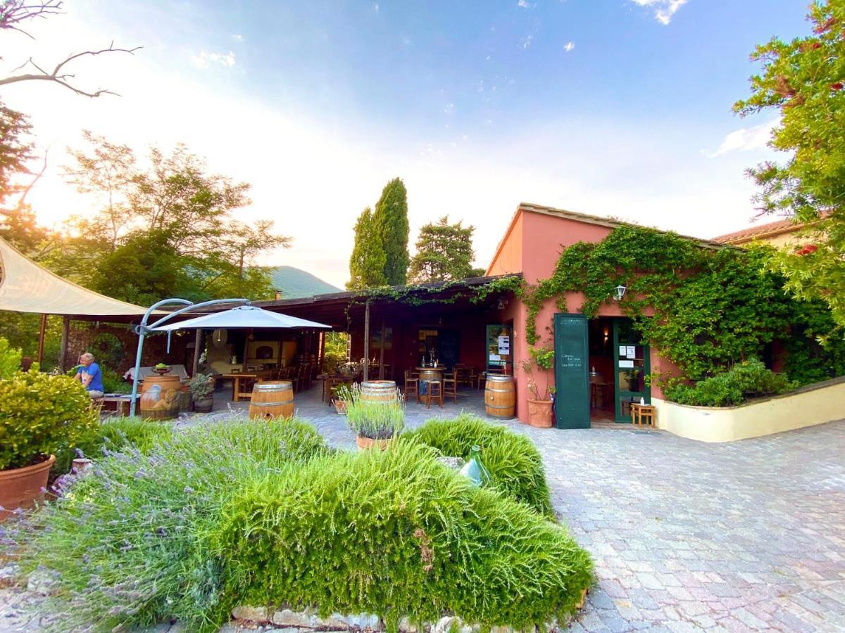 Agriturismo Terenzana Aparthotel Riparbella Exterior photo