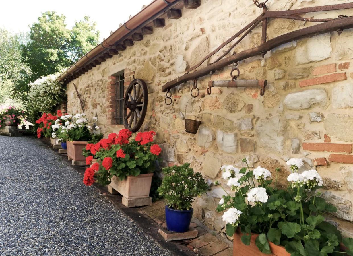 Agriturismo Terenzana Aparthotel Riparbella Exterior photo
