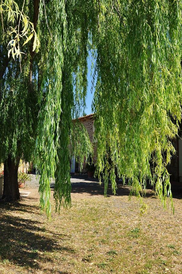 Agriturismo Terenzana Aparthotel Riparbella Exterior photo